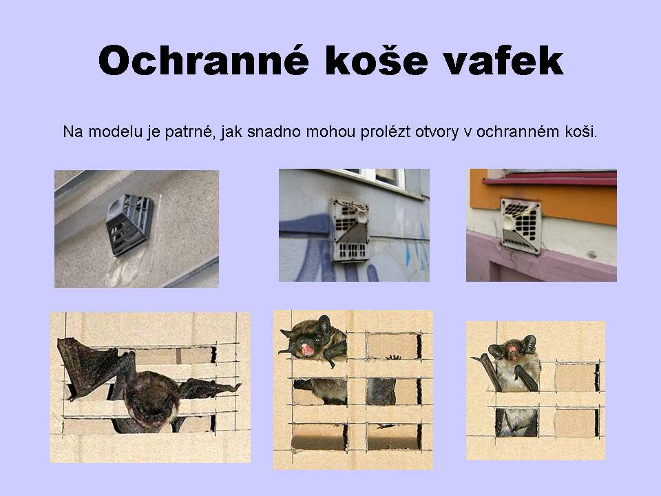 ochranne_kose
