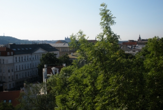 praha
