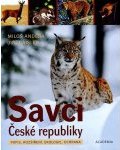 savci