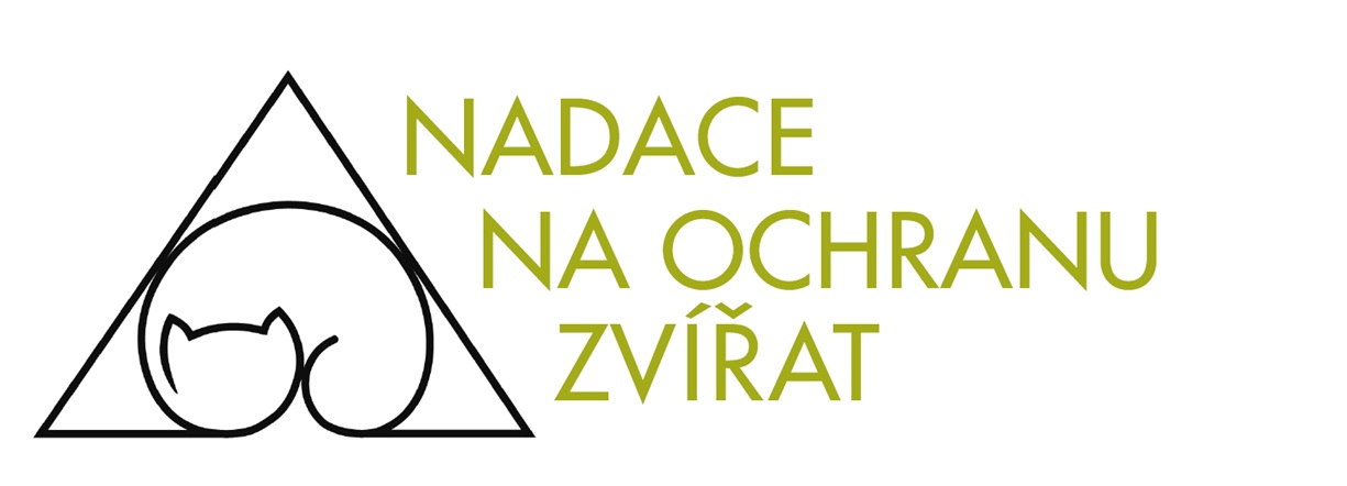logo nadace