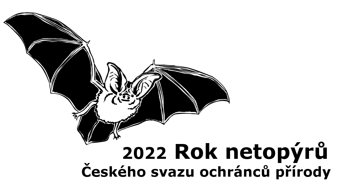 rok netopyru