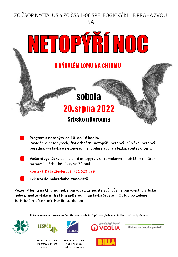 enn chlum22