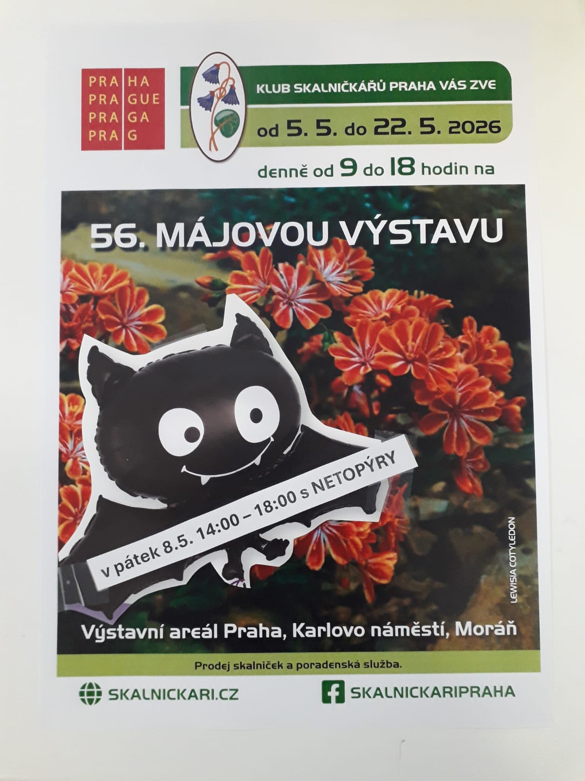 skalnicky