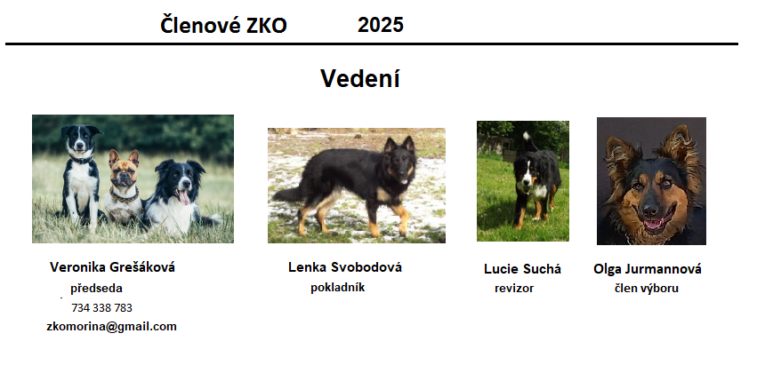 vedeni2025