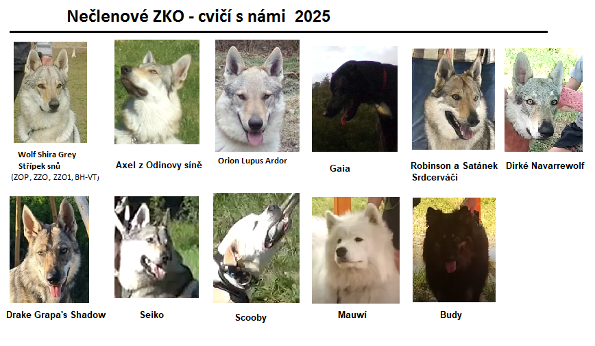 cvicisnami2025
