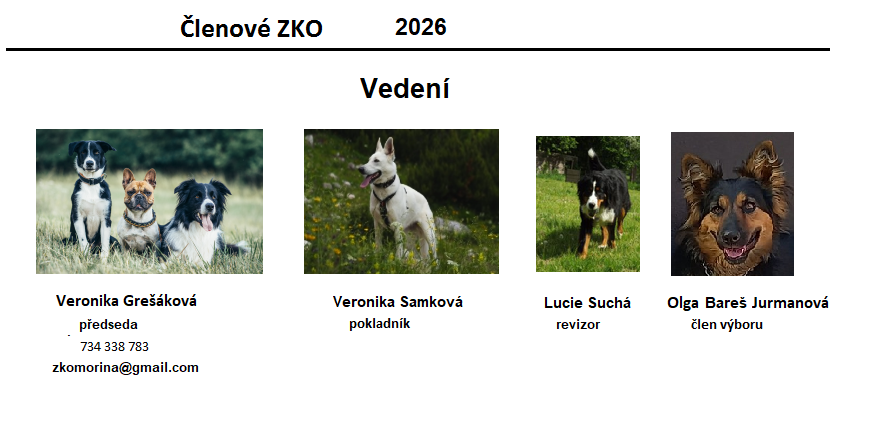 vedeni2026